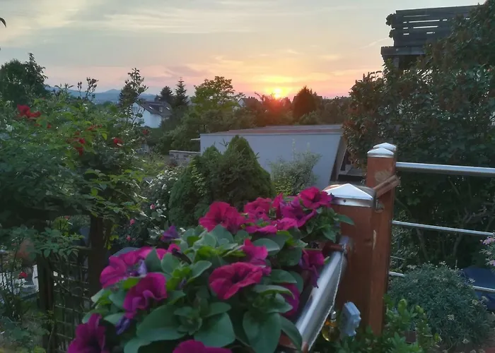 Fasanenhof Klinikum Und Uni Nah Mit Netflix * Kassel