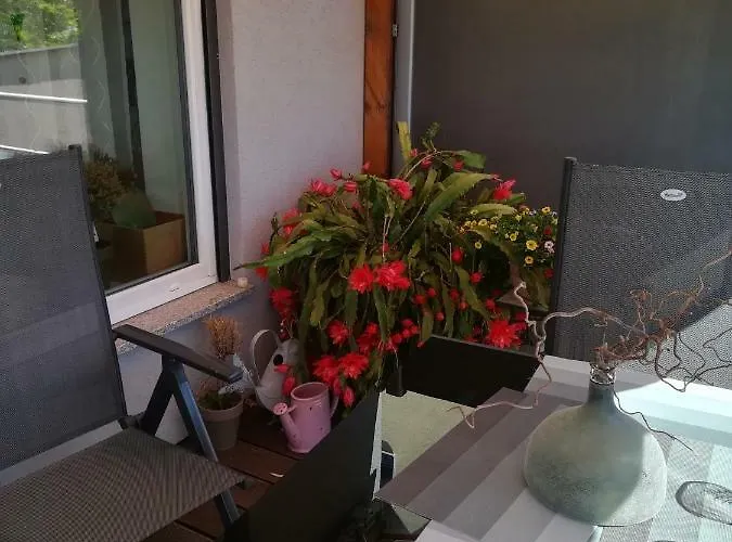 Lägenhet Fasanenhof Klinikum Und Uni Nah Mit Netflix