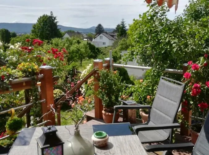 Fasanenhof Klinikum Und Uni Nah Mit Netflix *